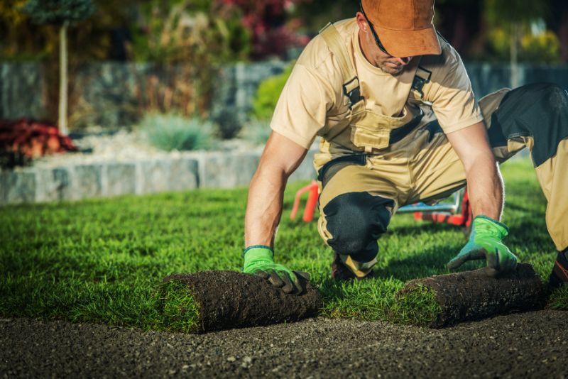 gardener laying grass