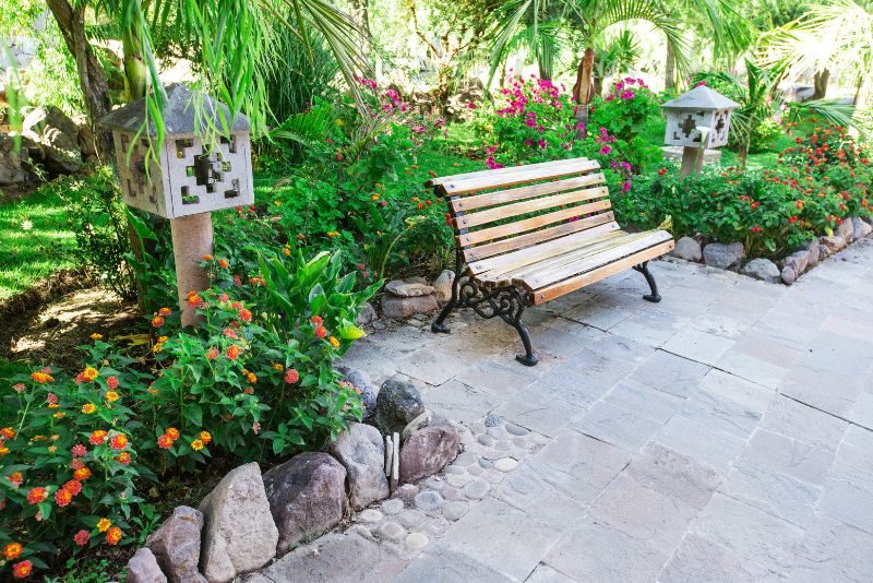 garden with a bench